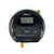 XP Metal Detector WS4 Top with LCD and Keypad Replacement